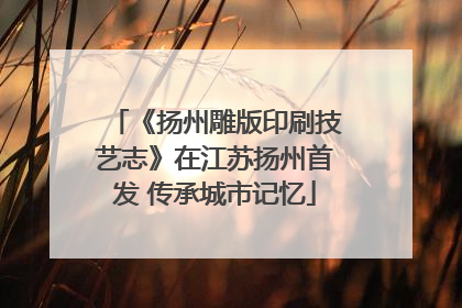 《扬州雕版印刷技艺志》在江苏扬州首发 传承城市记忆