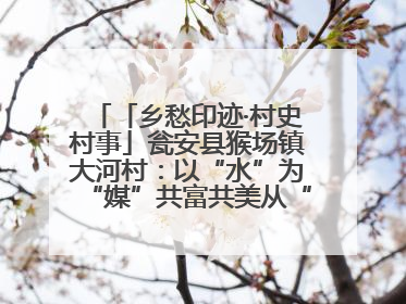 「乡愁印迹·村史村事」瓮安县猴场镇大河村：以“水”为“媒”共富共美从“河”而来