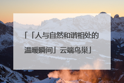 「人与自然和谐相处的温暖瞬间」云端鸟巢