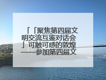 「聚焦第四届文明交流互鉴对话会」可触可感的敦煌——参加第四届文明交流互鉴对话会的外宾参观上元市集