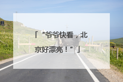 “爷爷快看，北京好漂亮！”