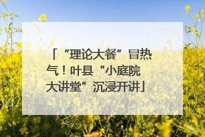 “理论大餐”冒热气！叶县“小庭院 大讲堂”沉浸开讲