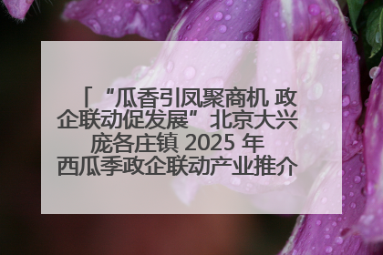 “瓜香引凤聚商机 政企联动促发展”北京大兴庞各庄镇 2025 年西瓜季政企联动产业推介活动圆满举行