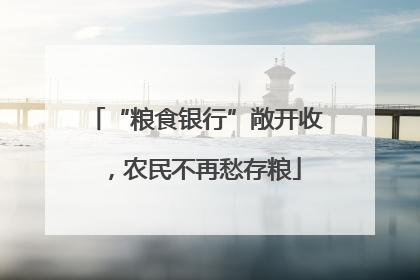 “粮食银行”敞开收，农民不再愁存粮