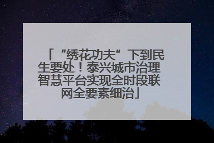“绣花功夫”下到民生要处！泰兴城市治理智慧平台实现全时段联网全要素细治