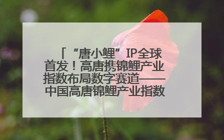 “唐小鲤”IP全球首发！高唐携锦鲤产业指数布局数字赛道——中国高唐锦鲤产业指数暨“唐小鲤”IP全球首发仪式在杭州举行