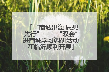 “商城出海 思想先行”——“双会”进商城学习调研活动在临沂顺利开展