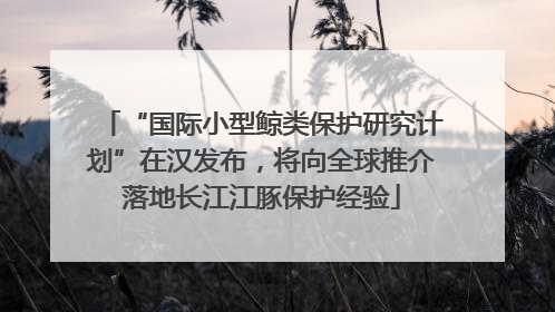 “国际小型鲸类保护研究计划”在汉发布，将向全球推介落地长江江豚保护经验
