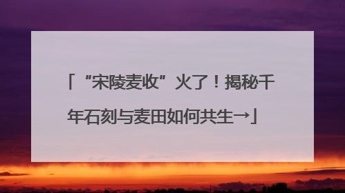“宋陵麦收”火了！揭秘千年石刻与麦田如何共生→