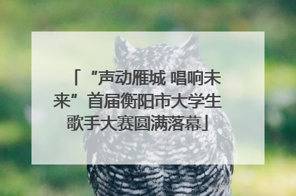 “声动雁城 唱响未来”首届衡阳市大学生歌手大赛圆满落幕