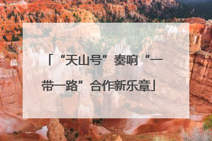 “天山号”奏响“一带一路”合作新乐章