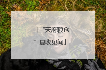 “天府粮仓”夏收见闻
