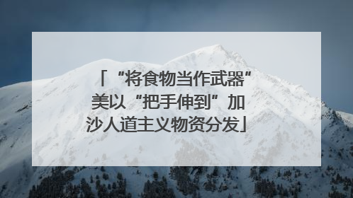 “将食物当作武器” 美以“把手伸到”加沙人道主义物资分发