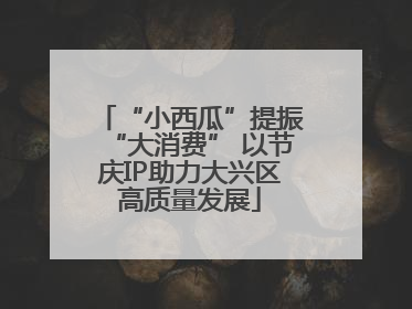 “小西瓜”提振“大消费” 以节庆IP助力大兴区高质量发展