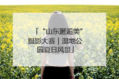 “山东邂逅美”摄影大赛｜湿地公园夏日风景