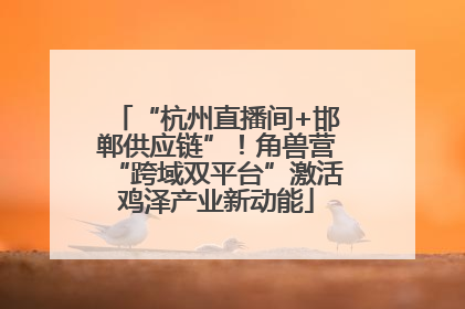 “杭州直播间+邯郸供应链”！角兽营“跨域双平台”激活鸡泽产业新动能