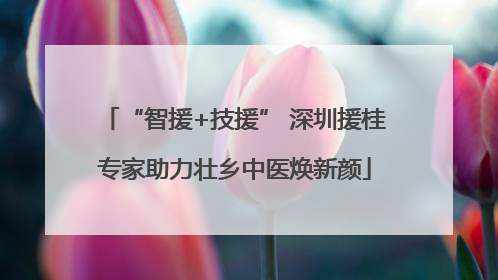 “智援+技援” 深圳援桂专家助力壮乡中医焕新颜