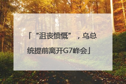 “沮丧愤慨”，乌总统提前离开G7峰会