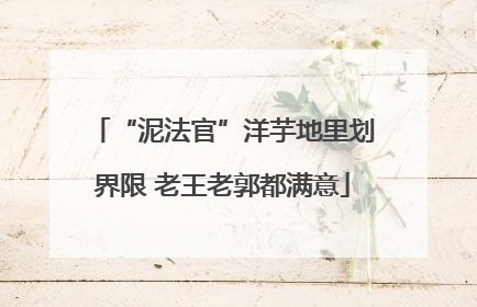 “泥法官”洋芋地里划界限 老王老郭都满意