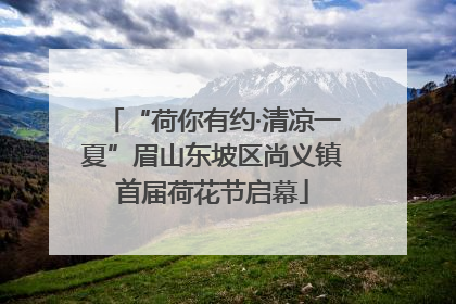 “荷你有约·清凉一夏”眉山东坡区尚义镇首届荷花节启幕