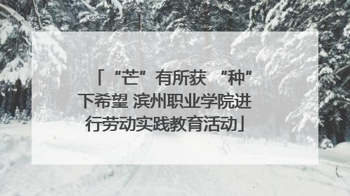“芒”有所获 “种”下希望 滨州职业学院进行劳动实践教育活动