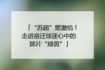 “苏超”燃激情！走进宿迁球迷心中的那片“绿茵”
