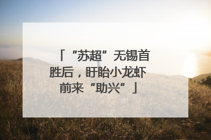 “苏超”无锡首胜后，盱眙小龙虾前来“助兴”
