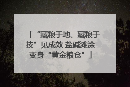 “藏粮于地、藏粮于技”见成效 盐碱滩涂变身“黄金粮仓”
