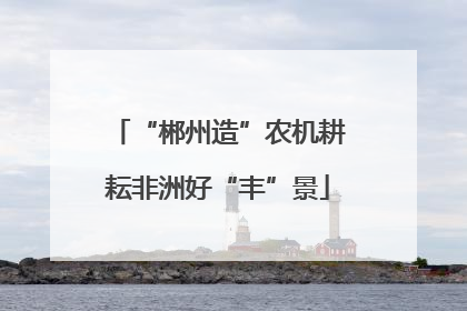 “郴州造”农机耕耘非洲好“丰”景