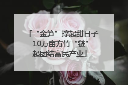 “金笋”撑起甜日子 10万亩方竹“链”起团结富民产业