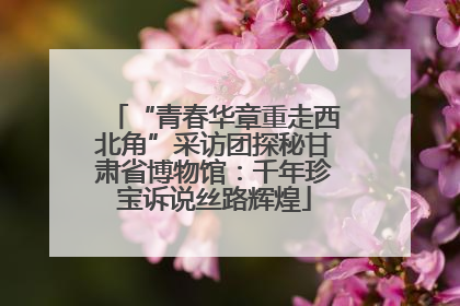 “青春华章重走西北角”采访团探秘甘肃省博物馆：千年珍宝诉说丝路辉煌