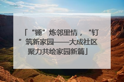 “锤”炼邻里情，“钉”筑新家园——大成社区聚力共绘家园新篇