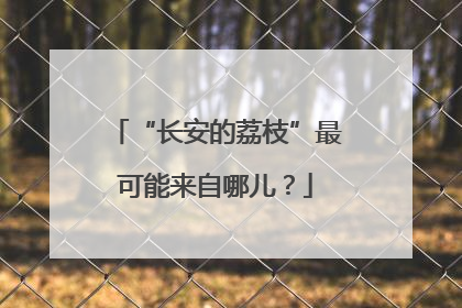 “长安的荔枝”最可能来自哪儿？