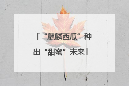 “麒麟西瓜”种出“甜蜜”未来