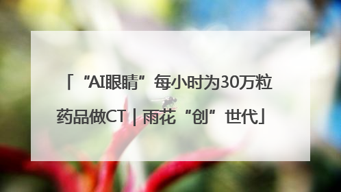“AI眼睛”每小时为30万粒药品做CT｜雨花“创”世代