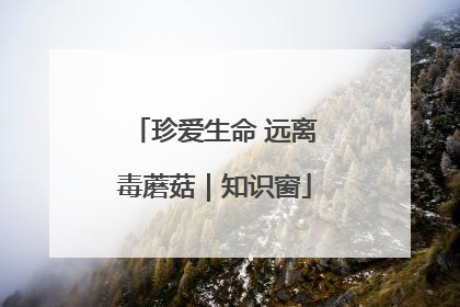 珍爱生命 远离毒蘑菇｜知识窗