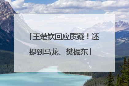 王楚钦回应质疑！还提到马龙、樊振东