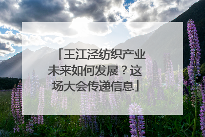 王江泾纺织产业未来如何发展？这场大会传递信息