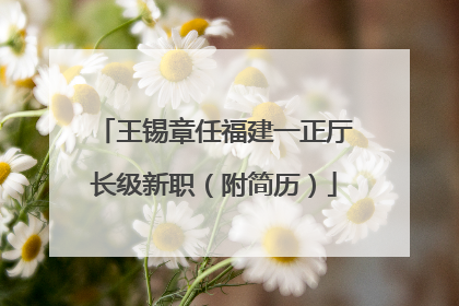 王锡章任福建一正厅长级新职（附简历）