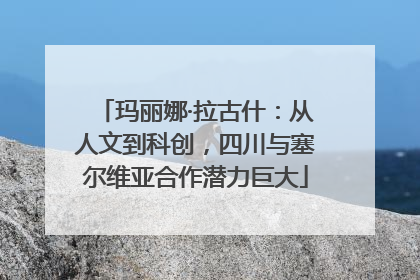 玛丽娜·拉古什：从人文到科创，四川与塞尔维亚合作潜力巨大