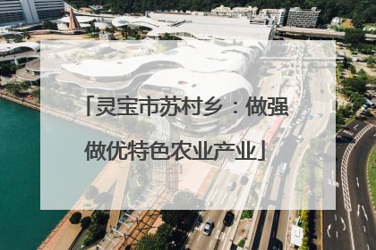 灵宝市苏村乡：做强做优特色农业产业