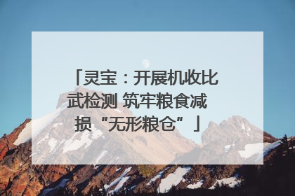 灵宝：开展机收比武检测 筑牢粮食减损“无形粮仓”