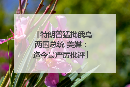 特朗普猛批俄乌两国总统 美媒：迄今最严厉批评