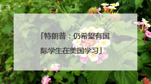 特朗普：仍希望有国际学生在美国学习
