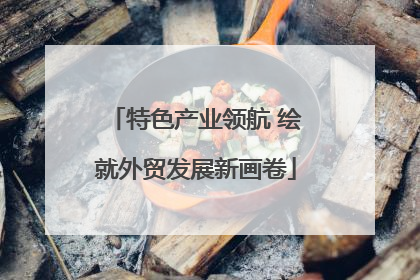 特色产业领航 绘就外贸发展新画卷