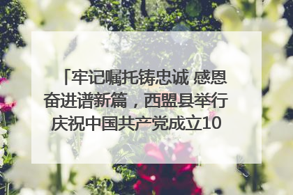 牢记嘱托铸忠诚 感恩奋进谱新篇，西盟县举行庆祝中国共产党成立104周年文艺晚会