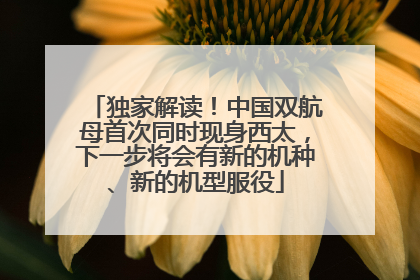 独家解读！中国双航母首次同时现身西太，下一步将会有新的机种、新的机型服役