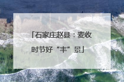 石家庄赵县：麦收时节好“丰”景