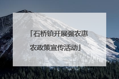石桥镇开展强农惠农政策宣传活动