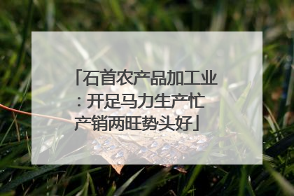 石首农产品加工业：开足马力生产忙 产销两旺势头好
